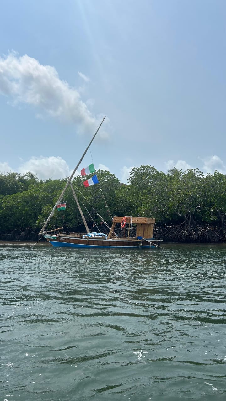 Isole Robinson